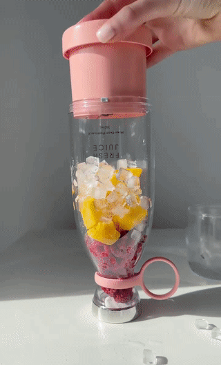 Electric Portable Mini Juicer